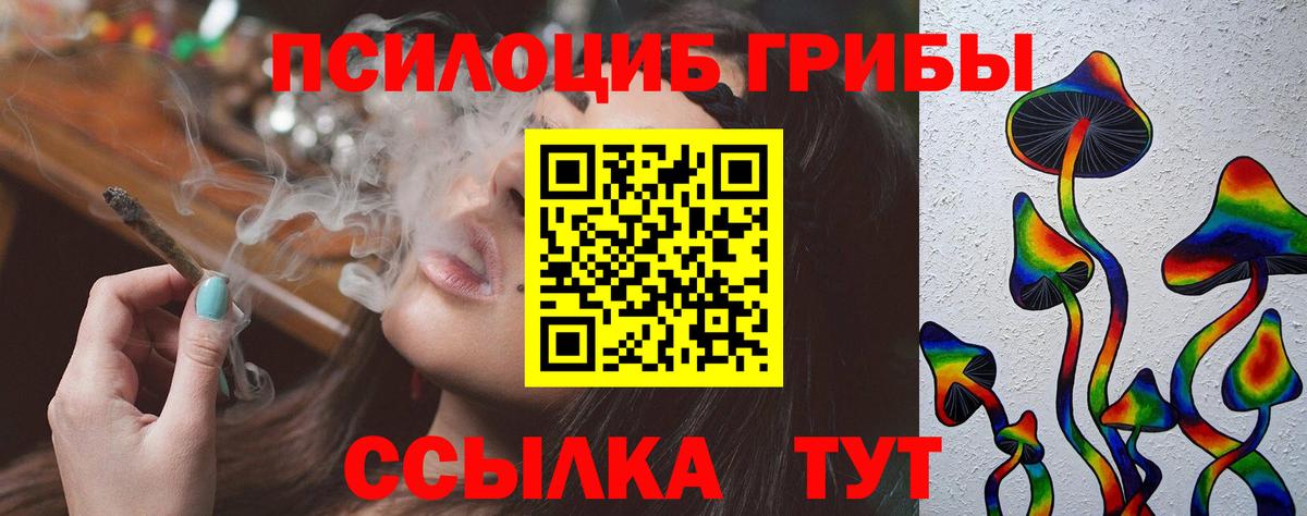 Галлюциногенные грибы Psilocybe Кулебаки