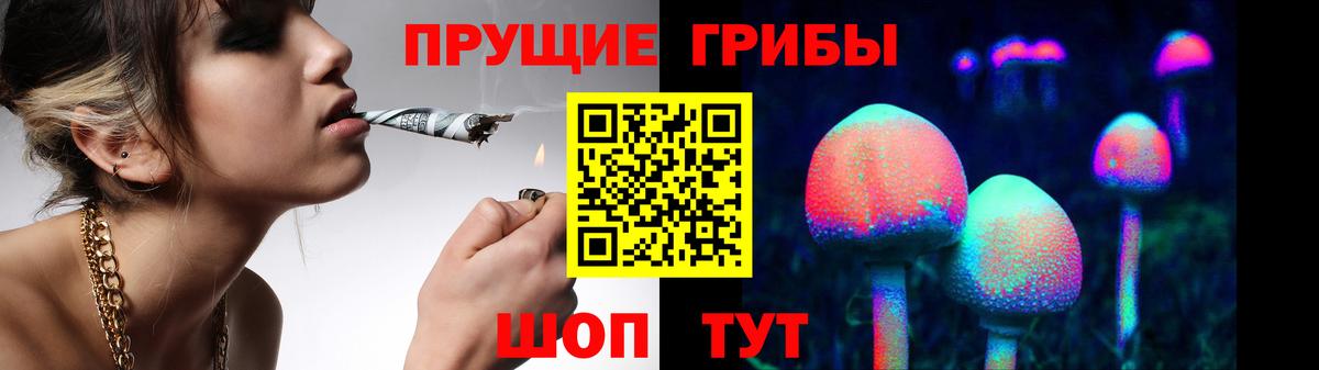 Кулебаки  Галлюциногенные грибы MAGIC MUSHROOMS  Вход с VPN 